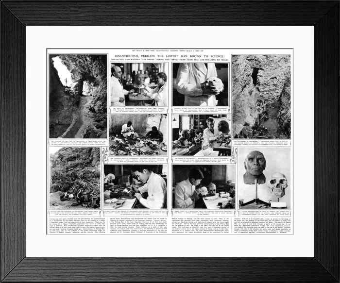 Framed Print : Sinanthropus, perhaps the lowest man known to science