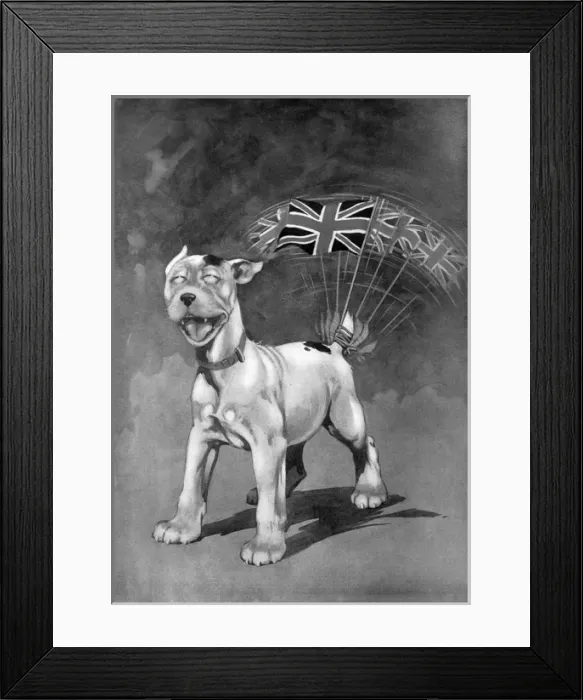 Framed Print : Tails Up by George Studdy, WW1 victory cartoon Framed Print : Tails Up by George Studdy, WW1 victory cartoon
