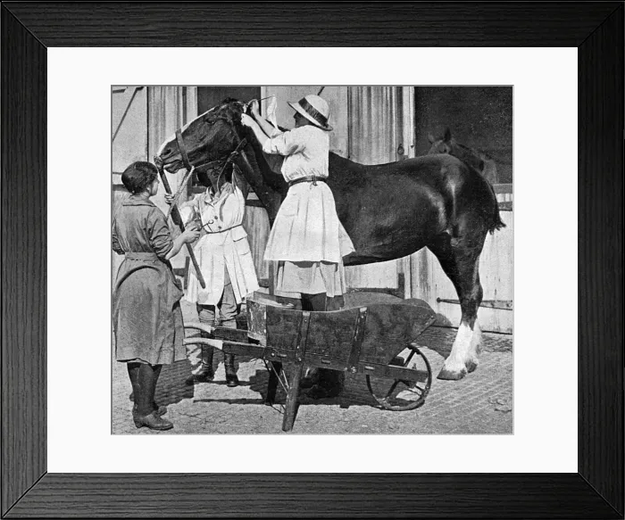 Framed Print : Female vet at horse repository, WWI Framed Print : Female vet at horse repository, WWI