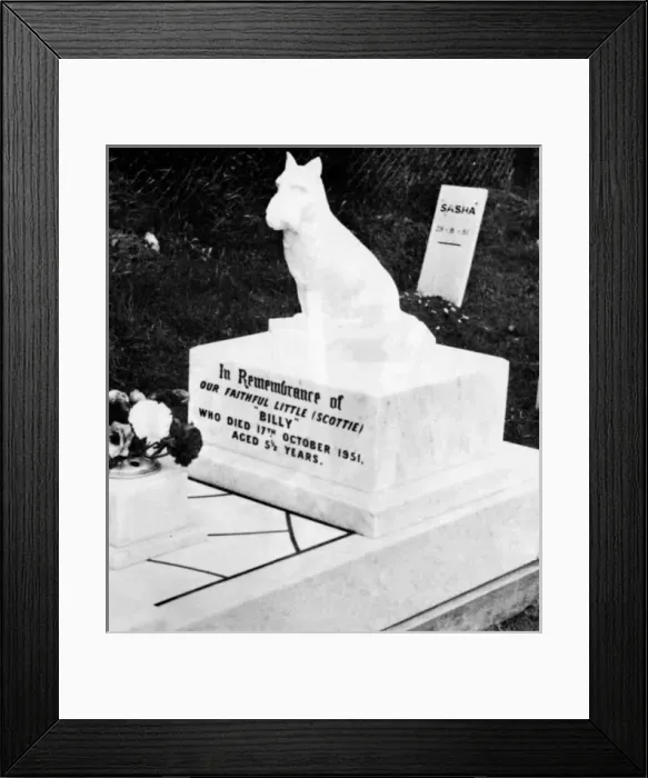 Framed Print : Dog gravestone Framed Print : Dog gravestone