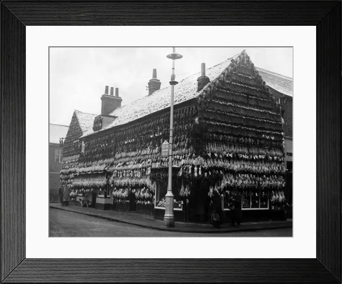 Framed Print : Turkeys galore outside a butcher in High Wycombe Framed Print : Turkeys galore outside a butcher in High Wycombe