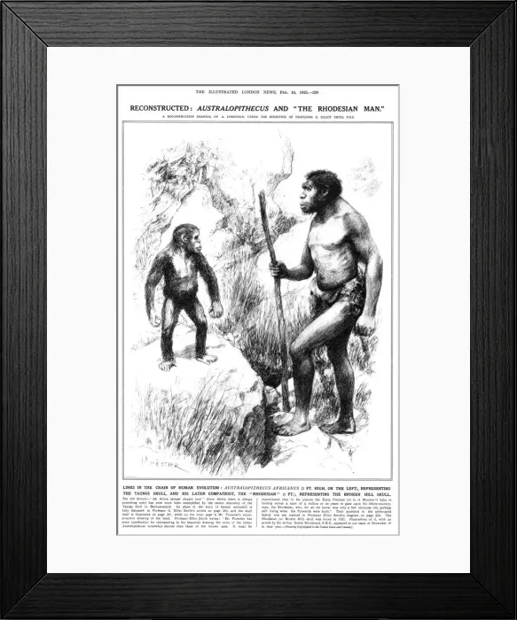 Framed Print : Australopithecus and the Rhodesian Man Framed Print : Australopithecus and the Rhodesian Man