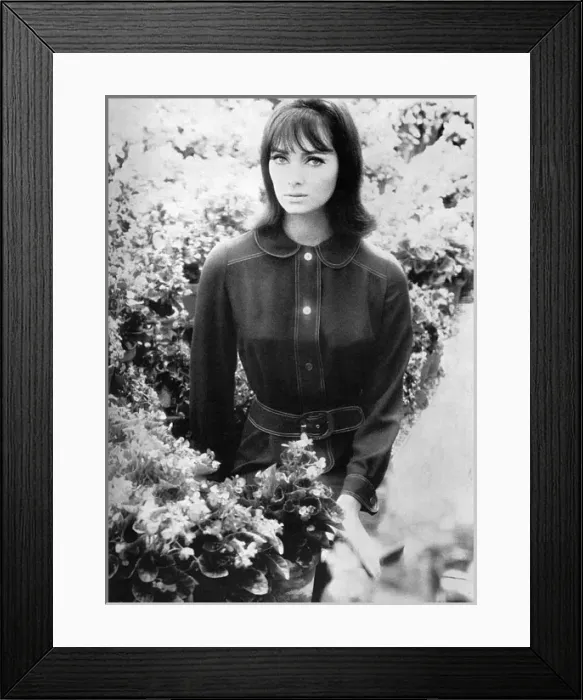 Framed Print : Dress by Ginger Group - Mary Quant, 1965 Framed Print : Dress by Ginger Group - Mary Quant, 1965