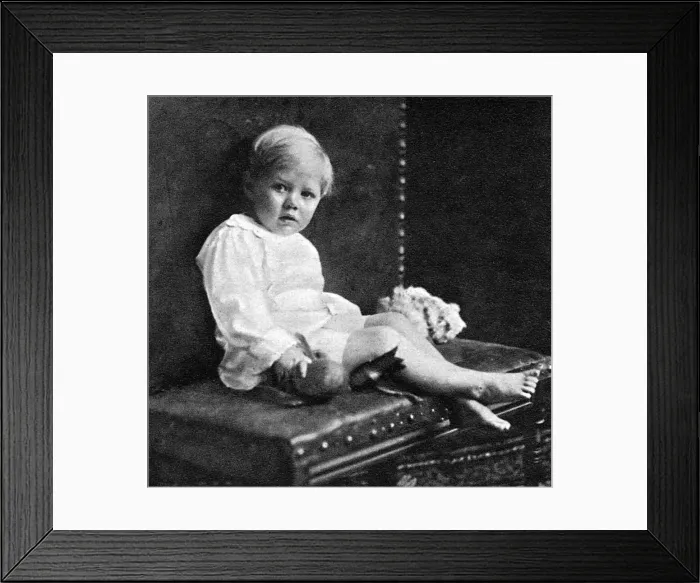 Framed Print : Arthur Valerian Wellesley, 8th Duke of Wellington as a child Framed Print : Arthur Valerian Wellesley, 8th Duke of Wellington as a child