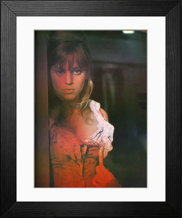 Framed Print : Edina Ronay Framed Print : Edina Ronay