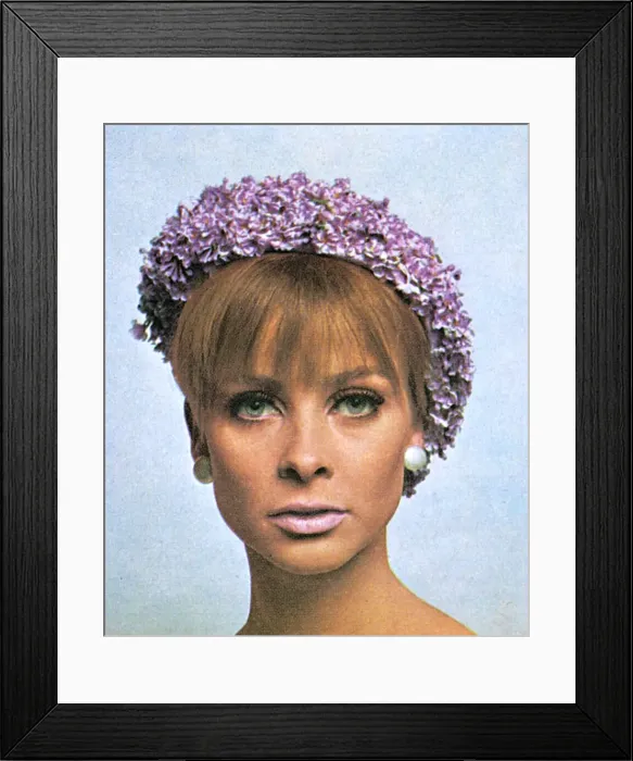Framed Print : Beret covered in lilac flowers Framed Print : Beret covered in lilac flowers