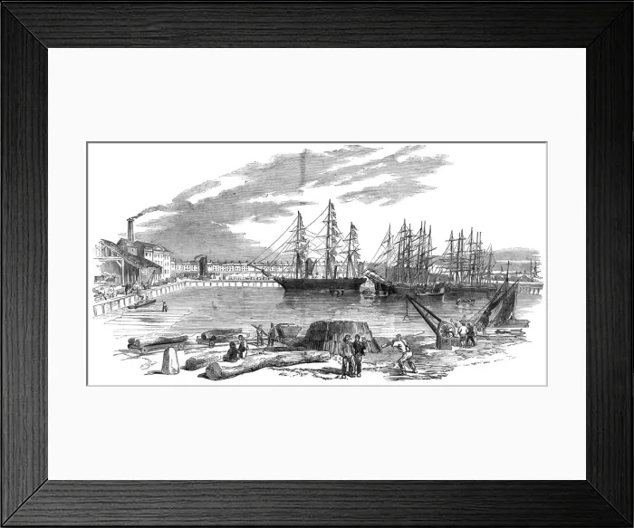 Framed Print : East and West India Dock, London - Arrival of John Bowes