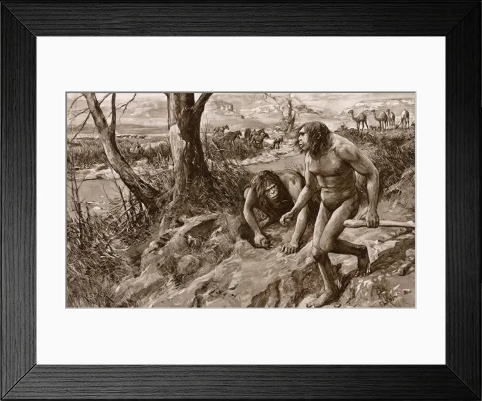 Framed Print : Earliest man tracked by tooth, discovery in Pliocene strata Framed Print : Earliest man tracked by tooth, discovery in Pliocene strata