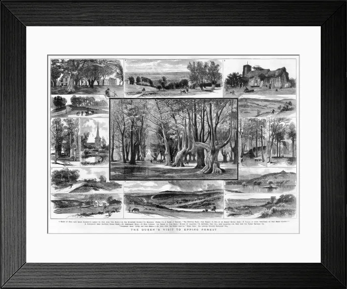 Framed Print : 15 views of Epping Forest, London Framed Print : 15 views of Epping Forest, London