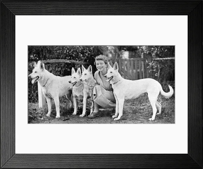 Framed Print : Mrs Thelma Gray, dog breeder Framed Print : Mrs Thelma Gray, dog breeder