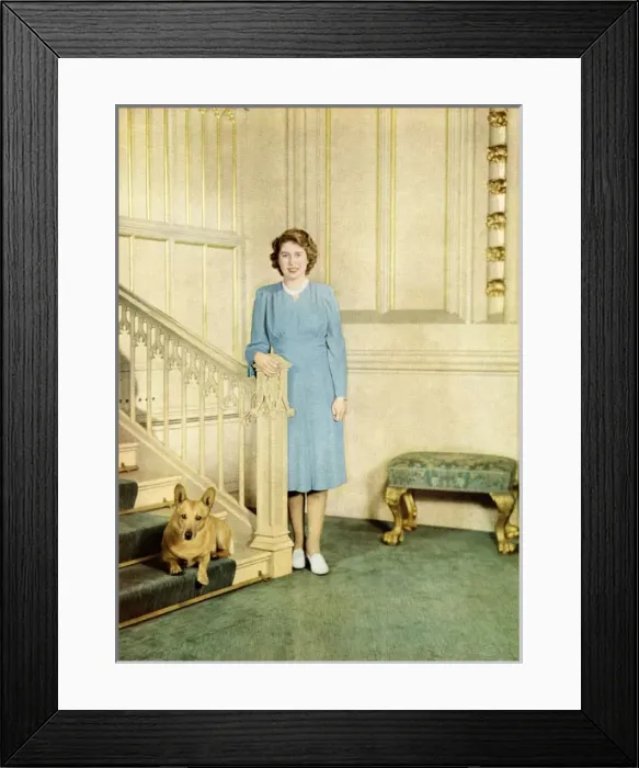 Framed Print : H. R. H. Princess Elizabeth, with her pet Welsh Corgi dog Framed Print : H. R. H. Princess Elizabeth, with her pet Welsh Corgi dog