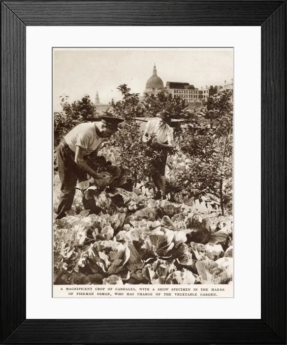 Framed Print : Firemens Farm in the Heart of the City WWII Framed Print : Firemens Farm in the Heart of the City WWII
