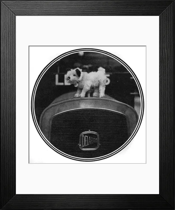 Framed Print : Edward VIIs dog Caesar becomes a car mascot Framed Print : Edward VIIs dog Caesar becomes a car mascot