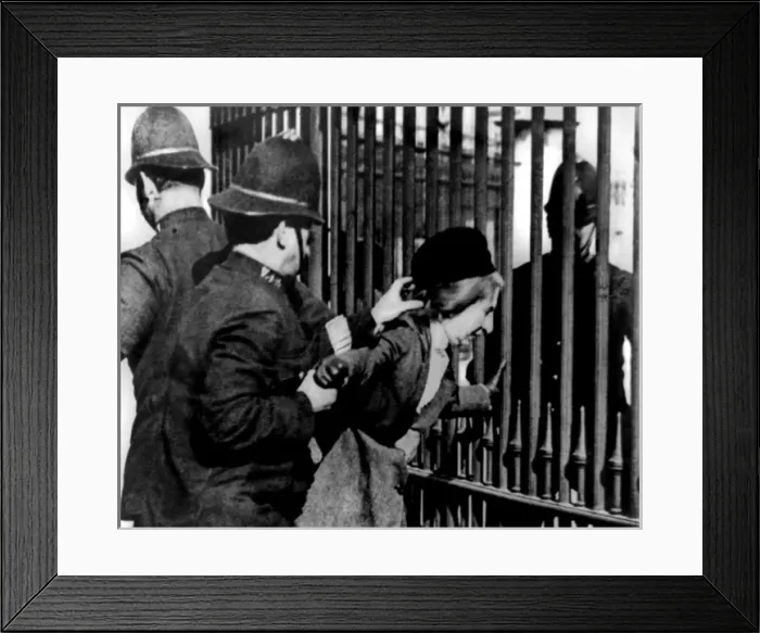Framed Print : Suffragette at Buckingham Palace Framed Print : Suffragette at Buckingham Palace