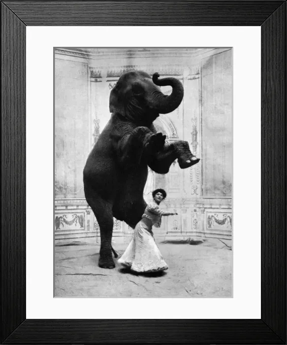 Framed Print : Miss Orford and her performing elephant Framed Print : Miss Orford and her performing elephant