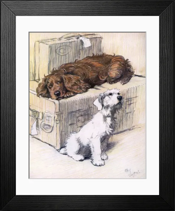 Framed Print : Can t We Come Too? by Cecil Aldin Framed Print : Can t We Come Too? by Cecil Aldin