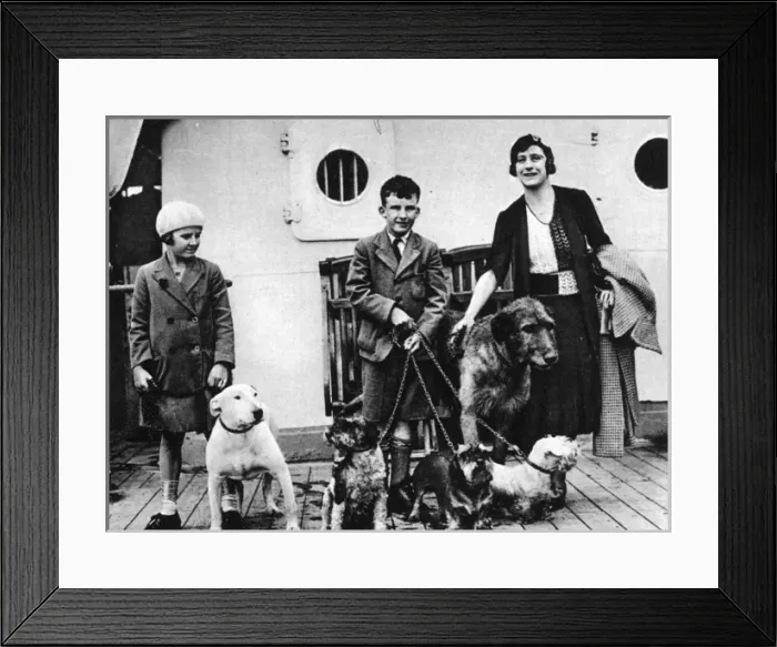 Framed Print : Cecil Aldins dogs go to join him in Majorca Framed Print : Cecil Aldins dogs go to join him in Majorca