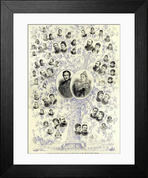 Framed Print : 1887 Jubilee genealogical tree of Queen Victoria Framed Print : 1887 Jubilee genealogical tree of Queen Victoria