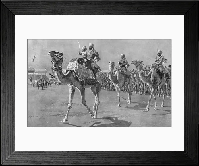 Framed Print : Camel corps at Delhi Durbar, 1912 Framed Print : Camel corps at Delhi Durbar, 1912