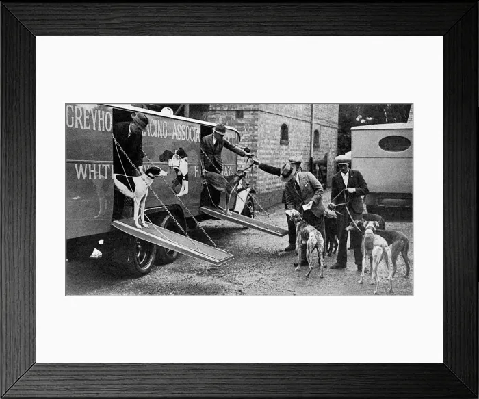 Framed Print : Luxury transport for greyhounds - the new GRA conveyance Framed Print : Luxury transport for greyhounds - the new GRA conveyance