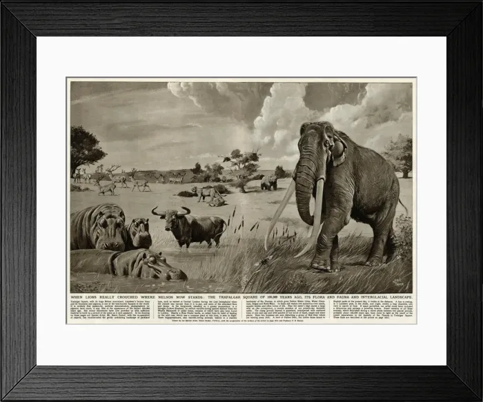 Framed Print : The Trafalgar Square of 100, 000 years ago Framed Print : The Trafalgar Square of 100, 000 years ago