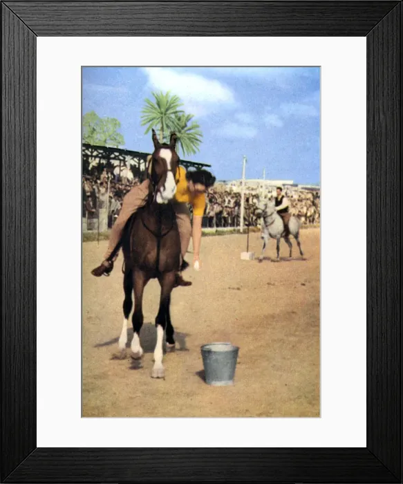 Framed Print : Mrs Ritchie competing at the Marsa Club, Malta Framed Print : Mrs Ritchie competing at the Marsa Club, Malta