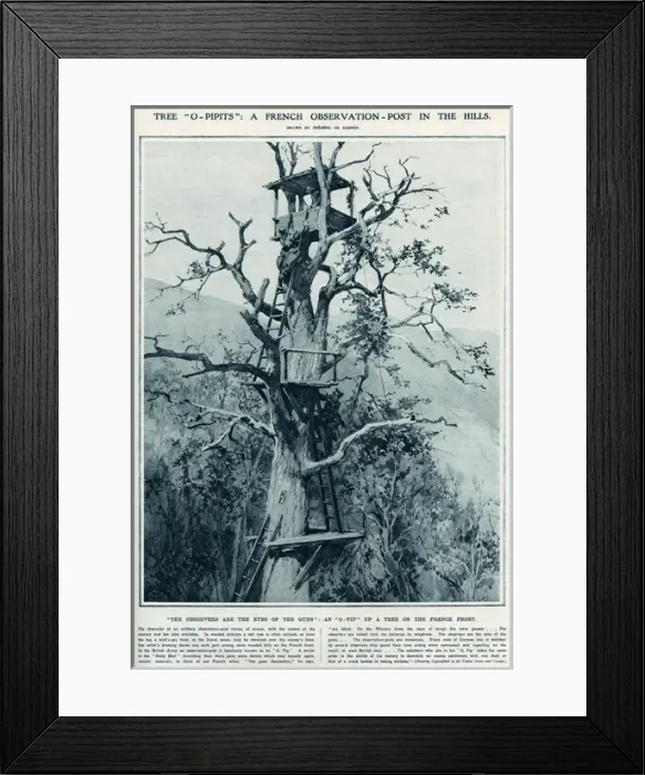 Framed Print : O- Pip A French observation post in a tree