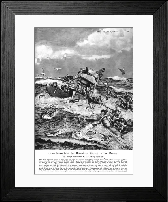 Framed Print : Once More into the Breach - a Walrus to the rescue Framed Print : Once More into the Breach - a Walrus to the rescue