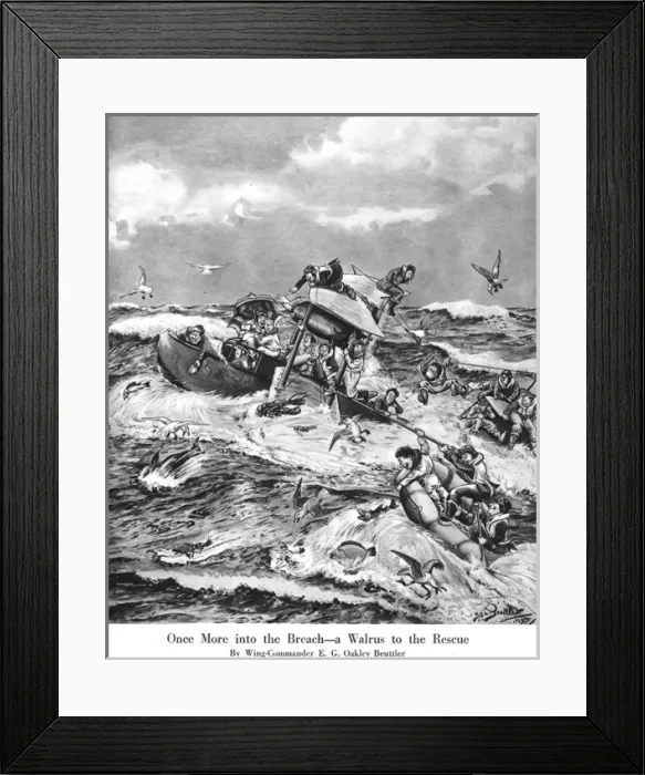 Framed Print : Once More into the Breach - a Walrus to the rescue Framed Print : Once More into the Breach - a Walrus to the rescue