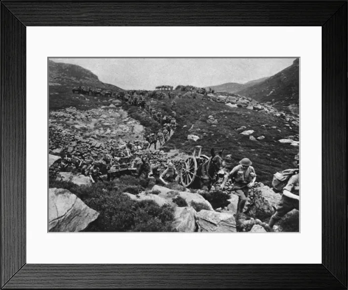 Framed Print : Royal artillery battery exercises in Wales: radio and mule Framed Print : Royal artillery battery exercises in Wales: radio and mule