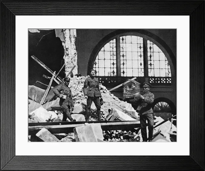 Framed Print : A bird-cage rescued from the ruins of a house, WW1 Framed Print : A bird-cage rescued from the ruins of a house, WW1