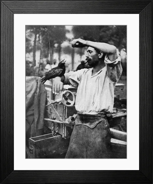 Framed Print : A blackbird of the Marne, France, and a soldier Framed Print : A blackbird of the Marne, France, and a soldier