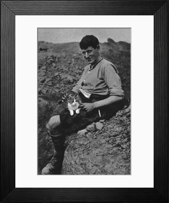 Framed Print : WW1 mascots: a trench cat Framed Print : WW1 mascots: a trench cat