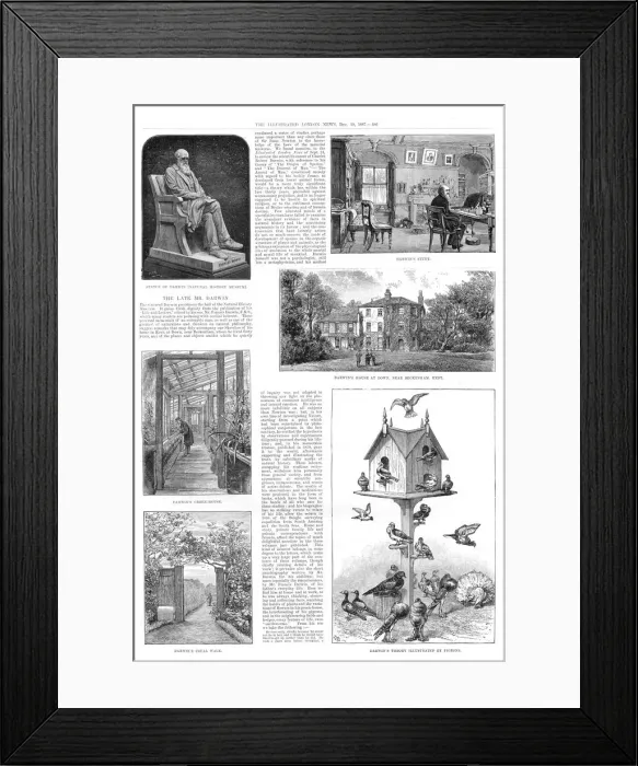 Framed Print : The late Charles Darwin Framed Print : The late Charles Darwin