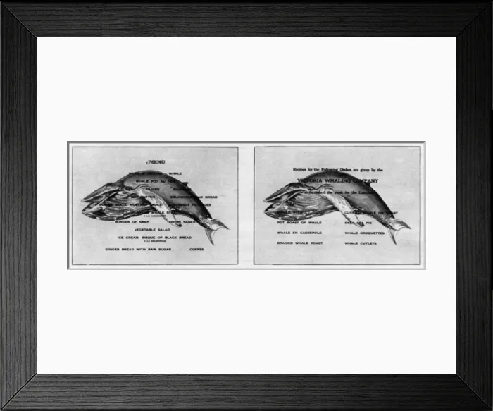 Framed Print : Whale meat menu and recipe card: 1918