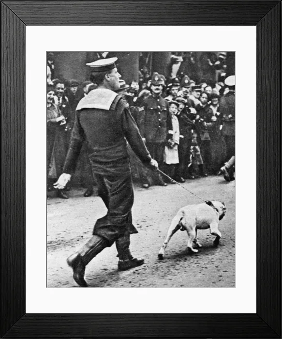 Framed Print : Mascot of the HMS Queen Elizabeth Framed Print : Mascot of the HMS Queen Elizabeth