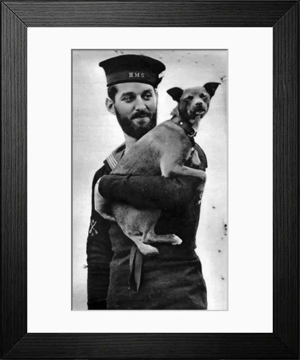 Framed Print : Mascot of the HMS Stork Framed Print : Mascot of the HMS Stork