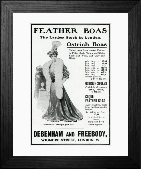 Framed Print : Advert for Debenham & Freebody feather boas 1905
