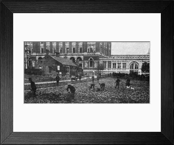 Framed Print : Natural History Museum, WW1 farm Framed Print : Natural History Museum, WW1 farm