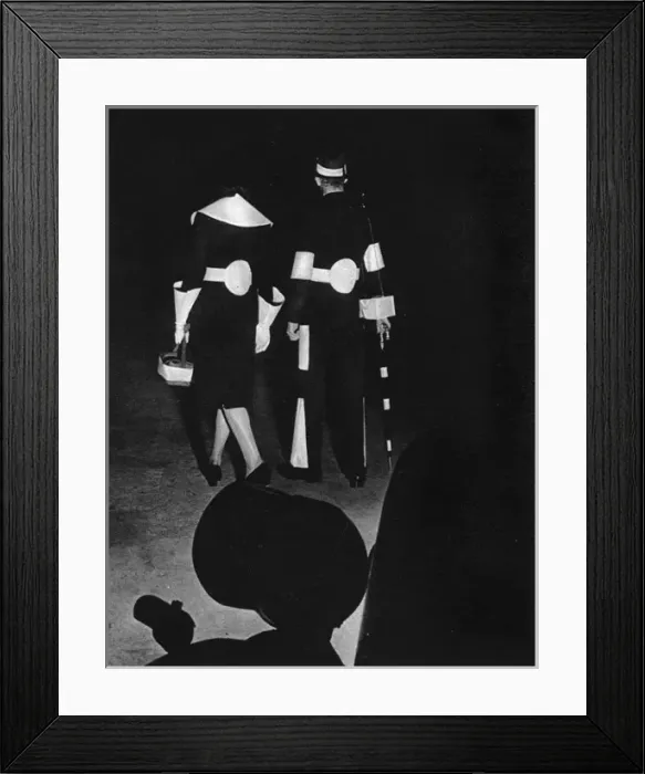Framed Print : Protective colouring for black outs, WWII - hi vis dog Framed Print : Protective colouring for black outs, WWII - hi vis dog