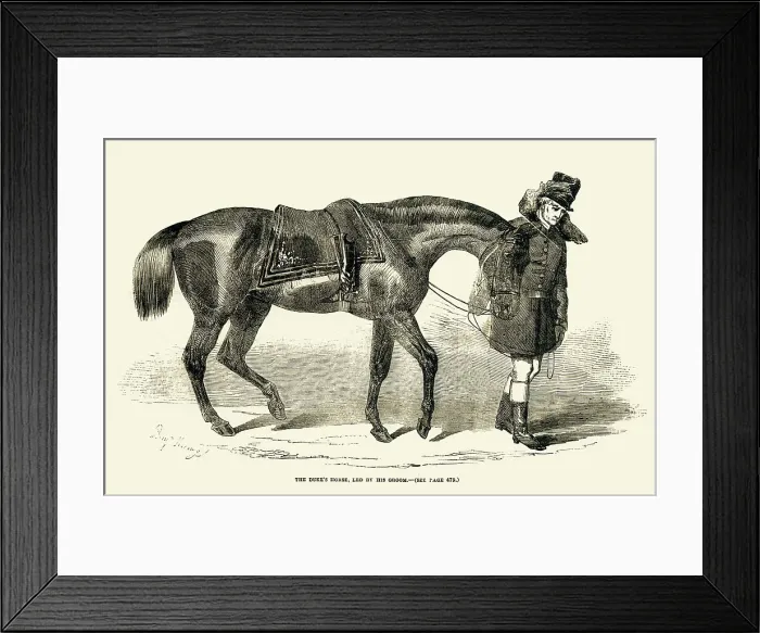 Framed Print : Duke of Wellington's horse and groom Framed Print : Duke of Wellington's horse and groom