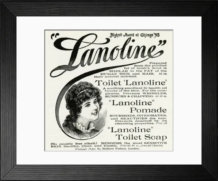 Framed Print : Advert for Lanoline soap 1896 Framed Print : Advert for Lanoline soap 1896