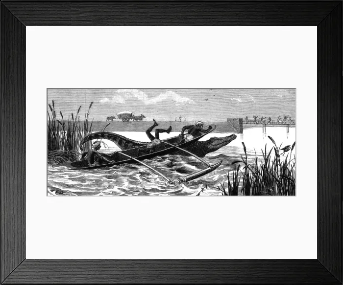 Framed Print : Crocodile hunting, 1881 Framed Print : Crocodile hunting, 1881