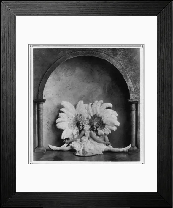 Framed Print : (insert) Framed Print : (insert)