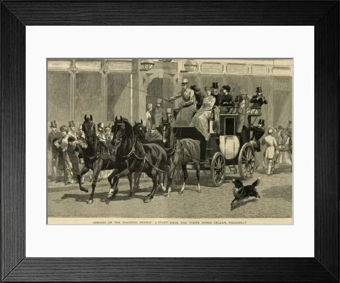 Framed Print : (insert) Framed Print : (insert)