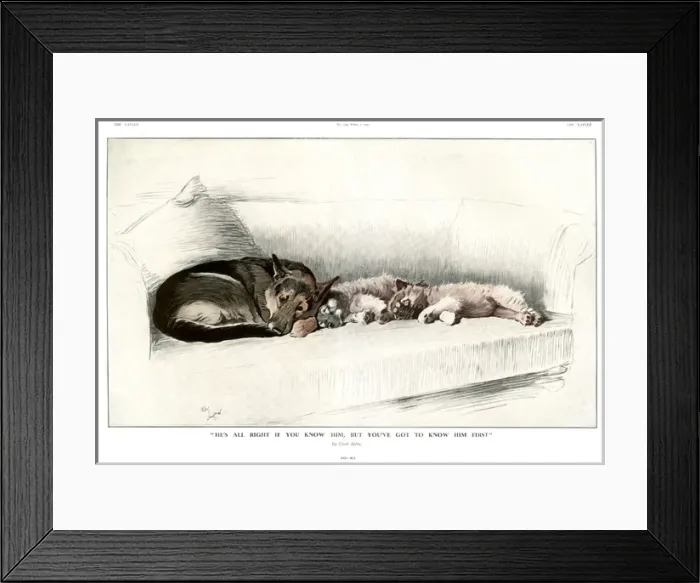 Framed Print : Hes All Right if you Know Him by Cecil Aldin Framed Print : Hes All Right if you Know Him by Cecil Aldin