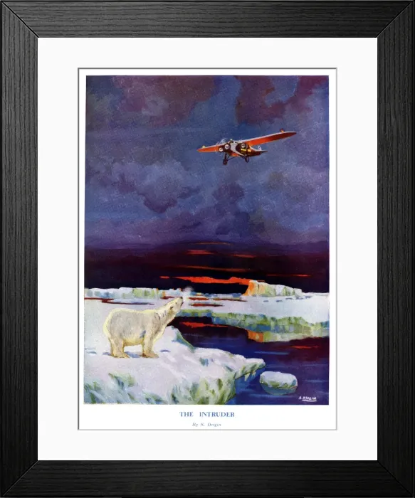 Framed Print : The Intruder by S. Drigin Framed Print : The Intruder by S. Drigin