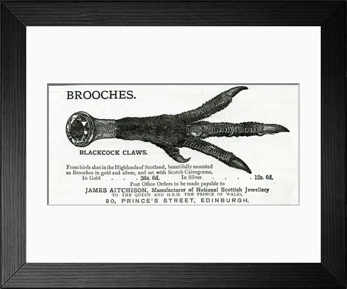 Framed Print : Advert for James Aitchison brooches 1883 Framed Print : Advert for James Aitchison brooches 1883