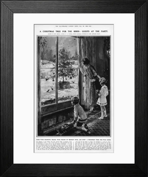 Framed Print : A Christmas tree for the birds Framed Print : A Christmas tree for the birds