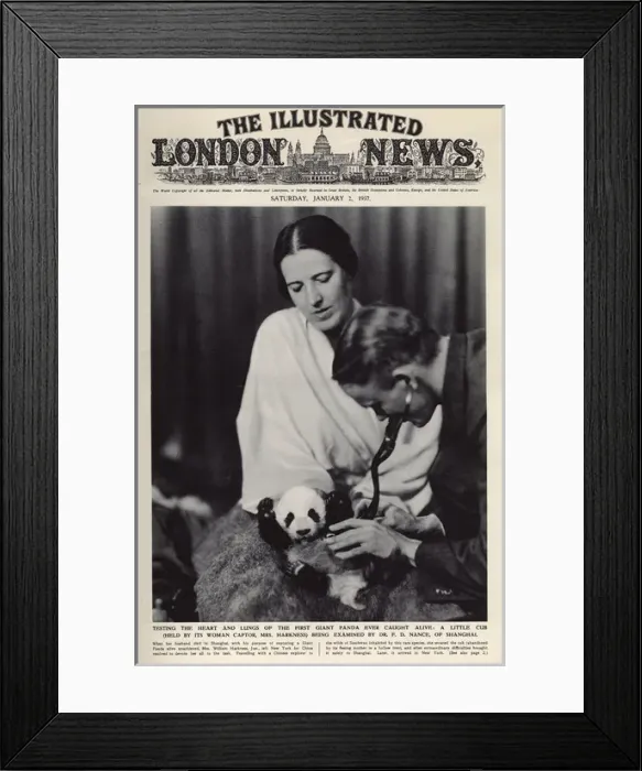 Framed Print : Ruth Harkness and her baby Giant Panda, Sun-Lin Framed Print : Ruth Harkness and her baby Giant Panda, Sun-Lin